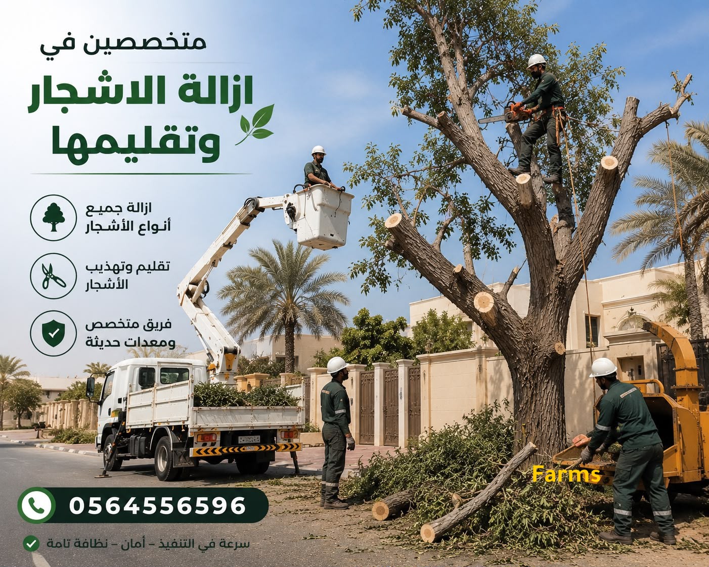 شركة قطع الاشجار و تقليم اشجار و ازاله شجر